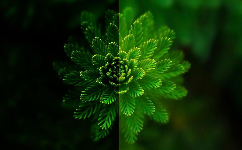 歐盟‘新電池法’生效在即，可持續(xù)設(shè)計(jì)如何重塑產(chǎn)品外觀與工業(yè)設(shè)計(jì)公司的核心價(jià)值？